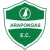 Arapongas Esporte Clube