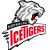Thomas Sabo Ice Tigers Nurnberg