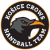 Kosice Crows