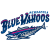 Pensacola Blue Wahoos