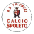 AD Voluntas Calcio Spoleto