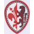 ASD Fortis Juventus 1909