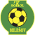 TJ Sokol Milesov