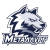 Metallurg Magnitogorsk