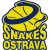 BK Snakes Ostrava