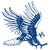 Dickinson State Blue Hawks