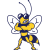 Howard Payne Yellow Jackets