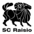 Sporting Club Raisio