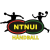 NTNUI Handball