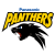 Panasonic Panthers