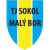 SK Maly Bor 1929