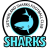 Sutherland Sharks Football Club