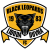 Black Leopards FC