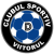 Clubul Sportiv Viitorul Daesti
