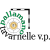 Pallamano Tavarnelle v.p.