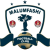 Malumfashi FC