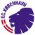 Football Club Copenhagen