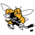 American International College Yellow Jackets