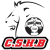Chevigny Saint Sauveur Handball