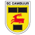 Jong SC Cambuur Leeuwarden