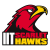 Illinois Tech Scarlet Hawks
