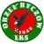 LKS Orzel Ryczow