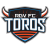 Rio Grande Valley Football Club Toros