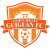 Anhui Hefei Guiguan F.C.