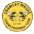 Crawley Wasps LFC