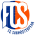 FC Surhusterfean
