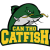 Can Tho Catfish