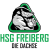 HSG Freiberg e.V.
