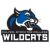 Culver-Stockton Wildcats