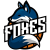 Basket Foxes Giussano