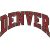 Denver Pioneers