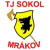 TJ Sokol Mrakov