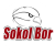 TJ Sokol Bor