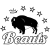 Buffalo Beauts