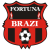 CS Fortuna Brazi
